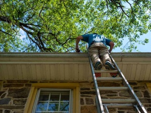 4 Best Things You Can Do for Your Roof
